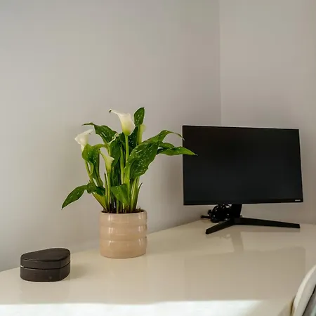 Apartman Spacious With Huge Terrace And Swimming Pool