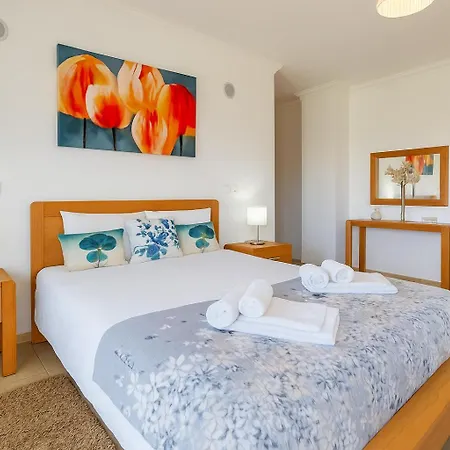 Spacious With Huge Terrace And Swimming Pool Appartement *